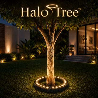 HaloTree™ Outdoor Ring Tree LED Light
