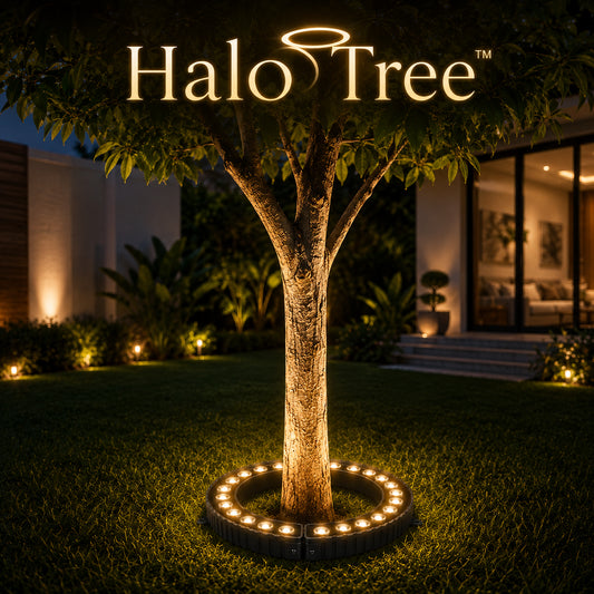 HaloTree™ Outdoor Ring Tree LED Light