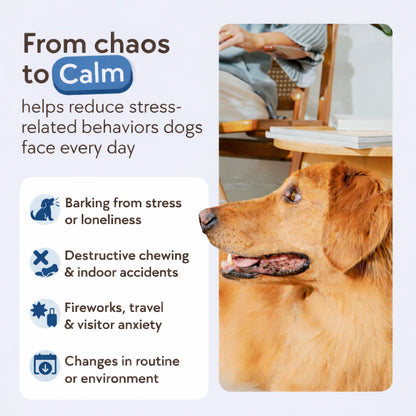 HappyPaws™ Dog Calming Diffuser